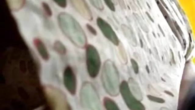 Bedava porno hiçbir kayıt Herhangi bir mobil hd por Redi olmak istiyorum