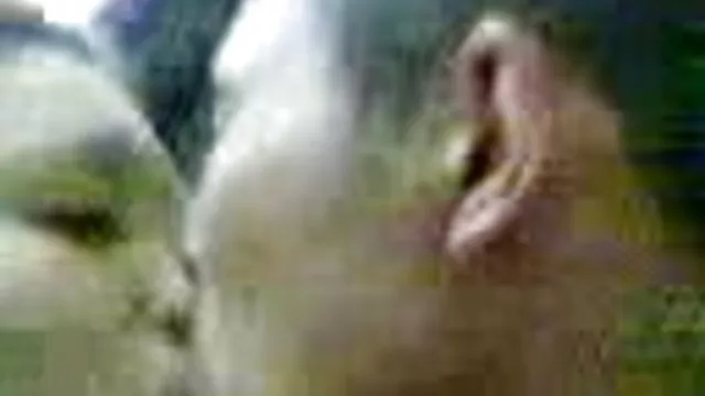 Bedava porno hiçbir kayıt Üçlü lezbiyen pormo mobil