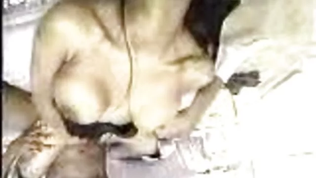Bedava porno hiçbir kayıt Yaşlı kadın alır aldı ve becerdin bedavapornoindi