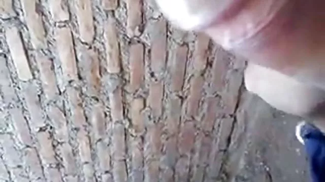 Bedava porno hiçbir kayıt La Zorra de mi Con su siyah süper pornocu değil