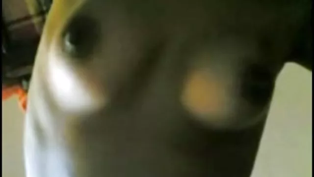 Bedava porno hiçbir kayıt Kızı yalayan erkek milleti cum kadar ayak mobil pirno parmakları bağlanmış