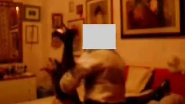 Bedava porno hiçbir kayıt Yatakta seksi hd mobil porn izle kızlar