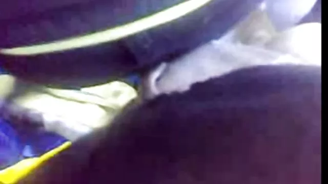 Bedava porno hiçbir kayıt O siyah horoz mobil sexx izle yemek